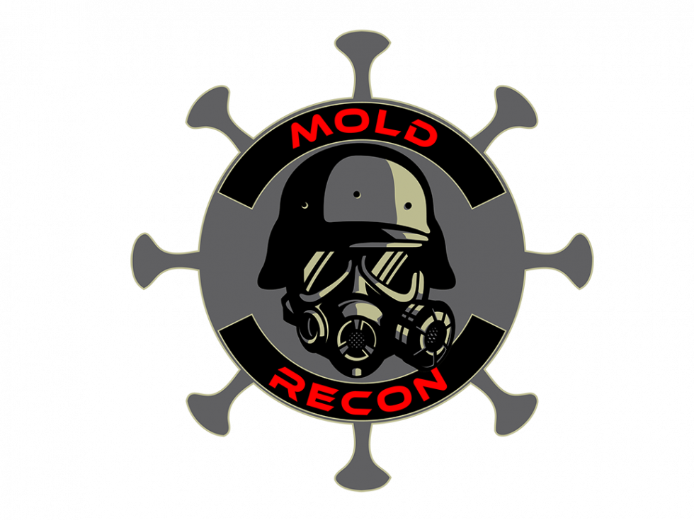 Top Signs of Mold in Your Home: When to Call a Professional - Mold Recon